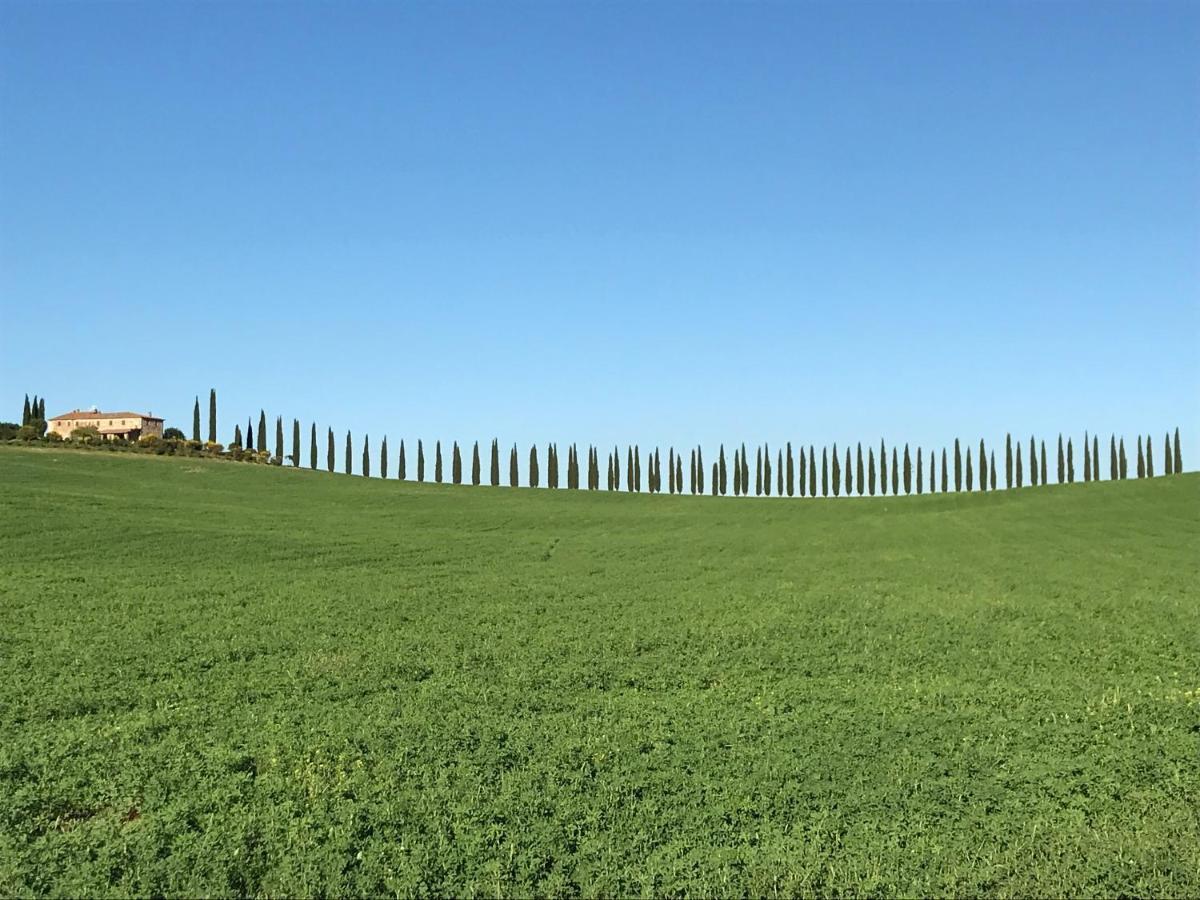 Grove Cottage: Immersed In Nature & Close To Town Città della Pieve Exterior photo
