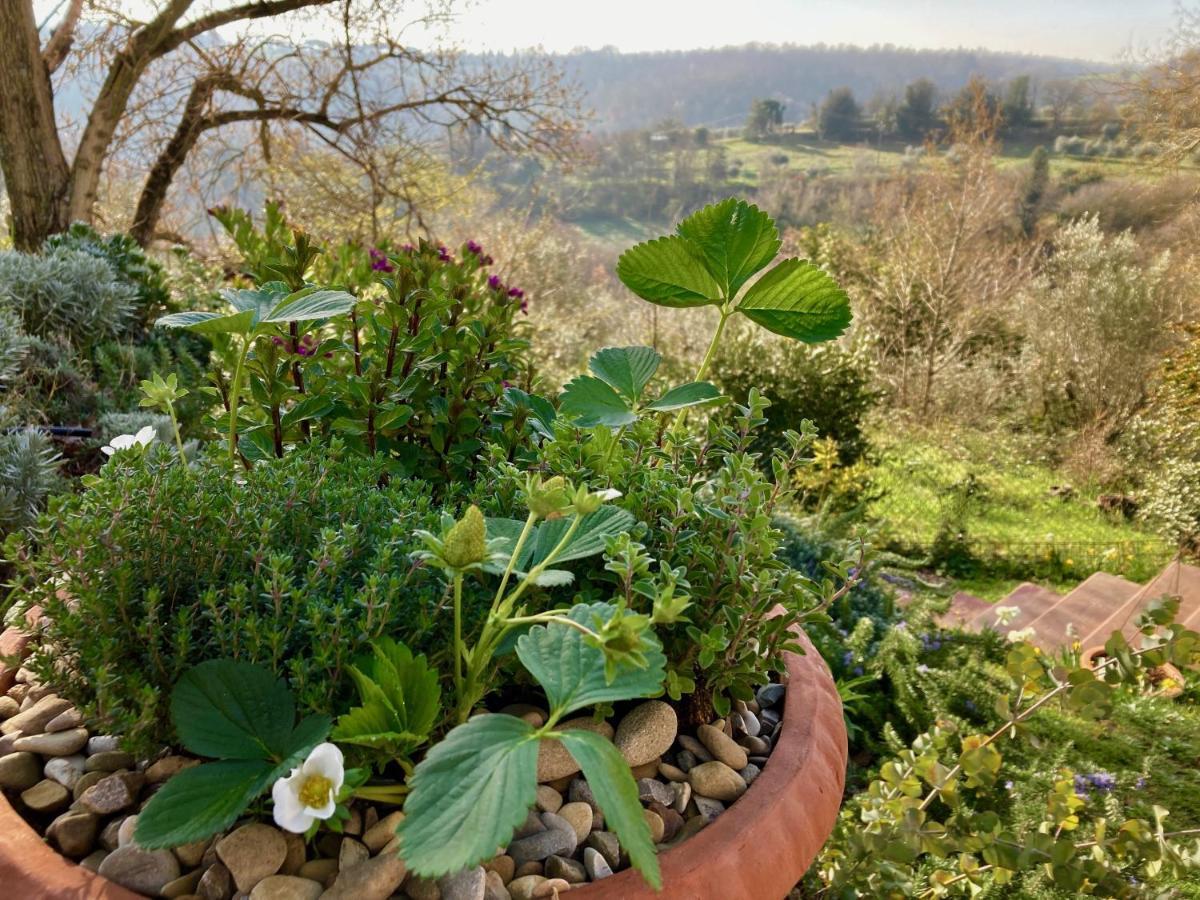 Grove Cottage: Immersed In Nature & Close To Town Città della Pieve Exterior photo