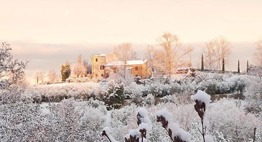 Grove Cottage: Immersed In Nature & Close To Town Città della Pieve Exterior photo