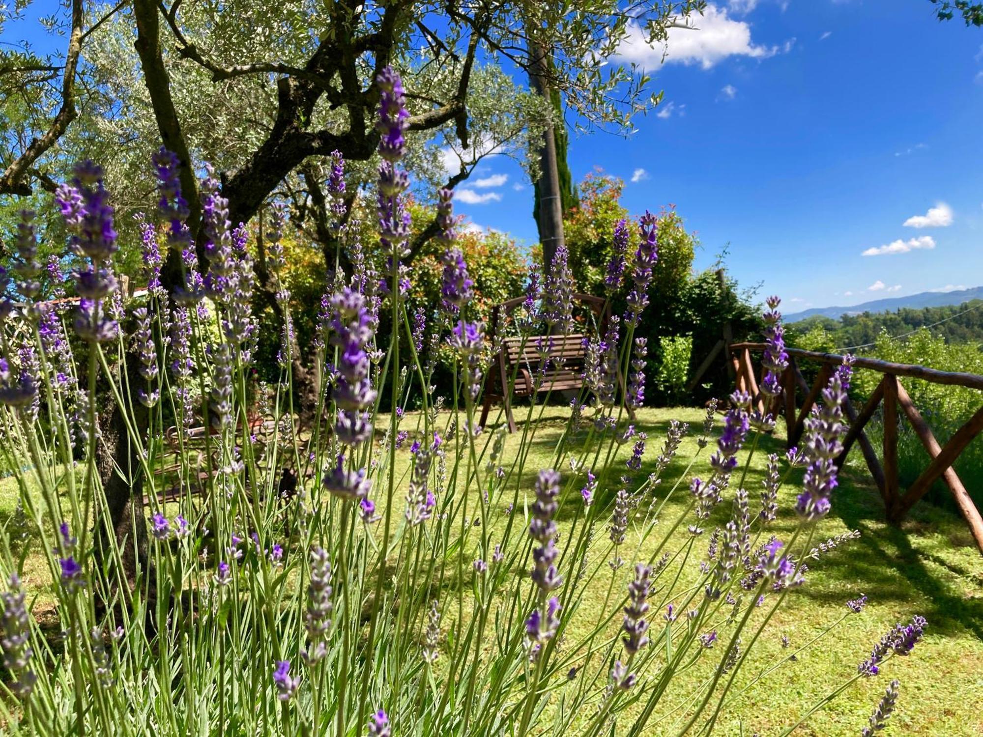 Grove Cottage: Immersed In Nature & Close To Town Città della Pieve Exterior photo